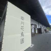 鳥と花を間近で鑑賞！