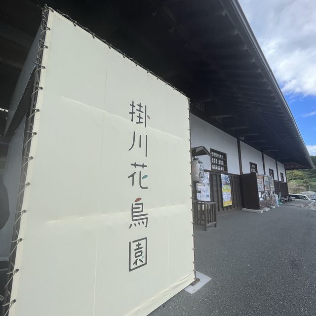 鳥と花を間近で鑑賞！