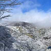한라산 설경 놓치지 말아요, 이곳이 겨울왕국입니다🗻