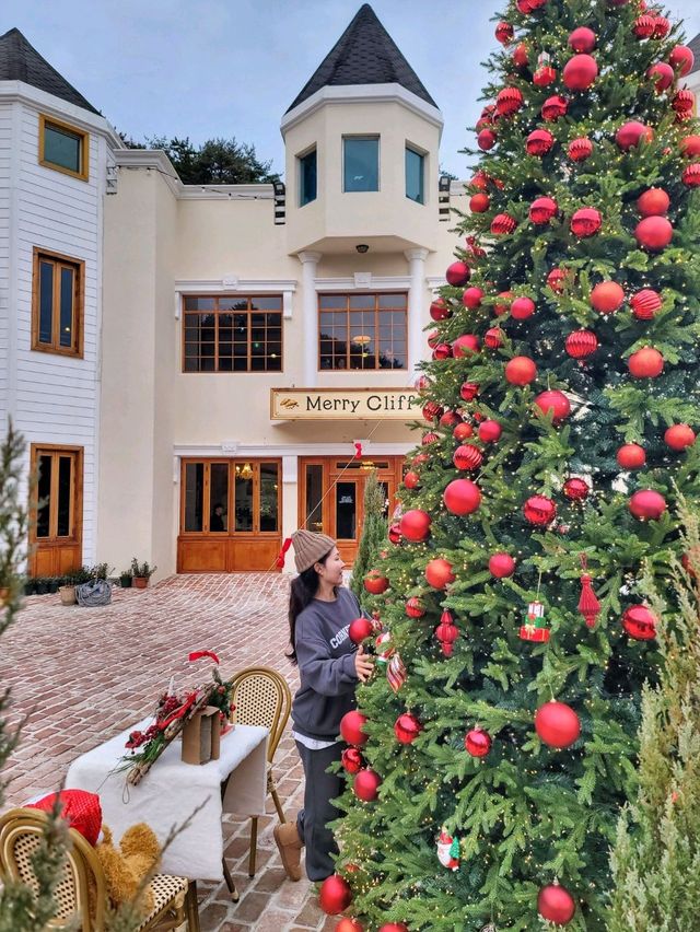 실내트리도 따뜻한 감성 한가득인 거제도 카페🎄✨️