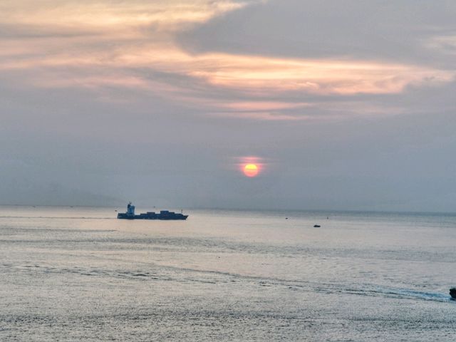 일출도 보고 수국도 볼수 있는 태종대🏞