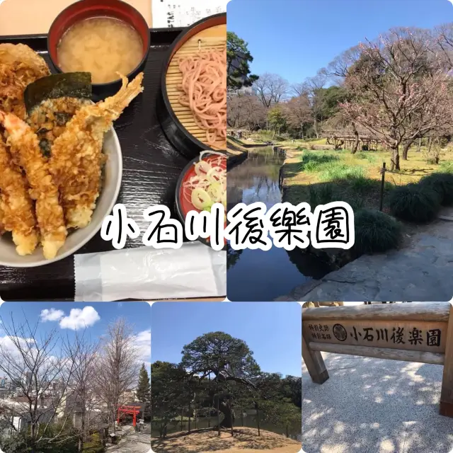 小石川後樂園🫶🏻城市中既湖光山色❤️