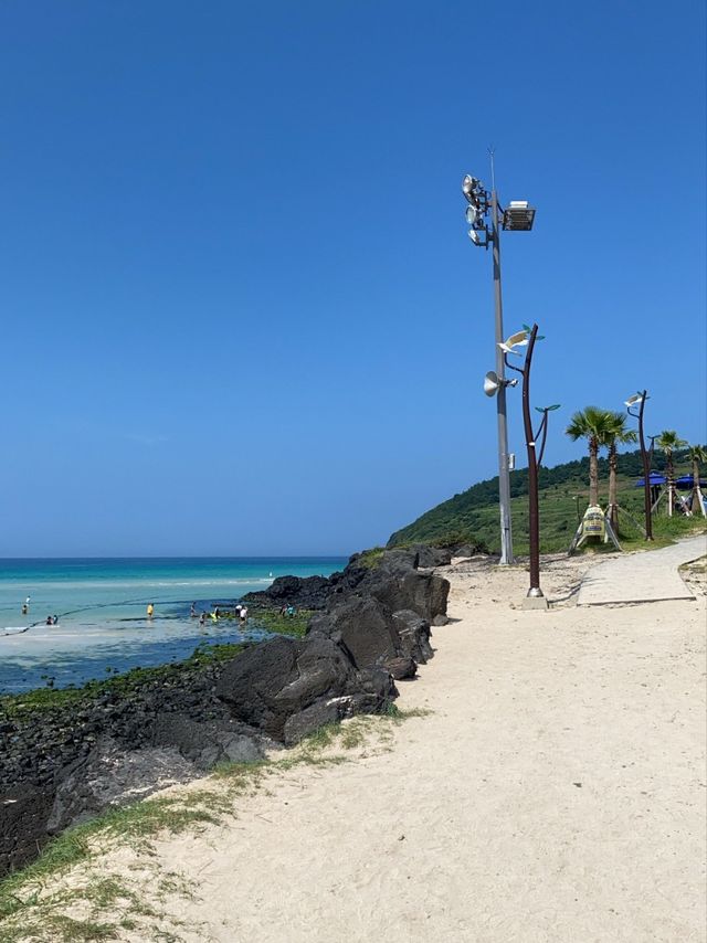 제주에서 가장 해외 같은 곳! ‘함덕해수욕장’ 을 소개합니다~!!!🌊💙