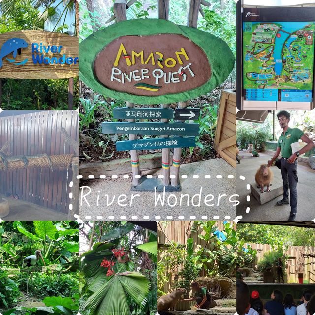 新加坡🇸🇬河川探索之旅😙小朋友最鍾意❤️活動親子旅行必去River Wonders