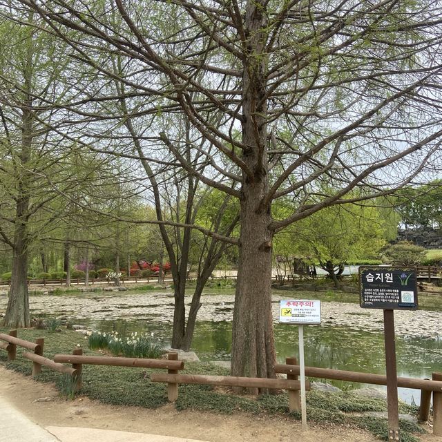 전주여행 튤립의 성지 전주수목원에서 봄꽃구경