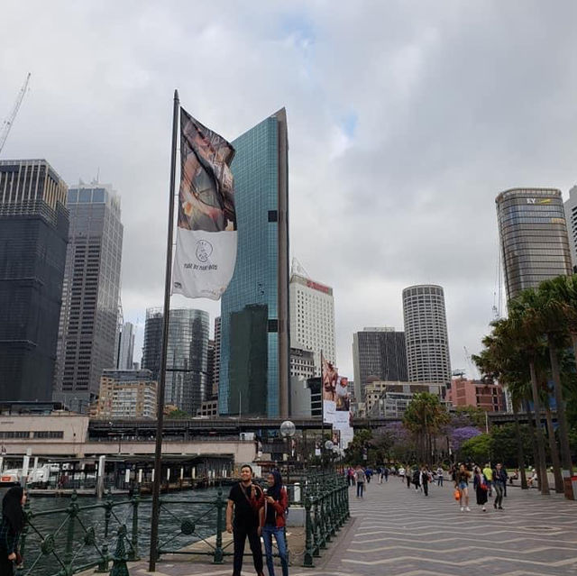 澳洲🦘悉尼海港✅遊客最鍾意❤️打卡位歌劇院最令影相📸️位