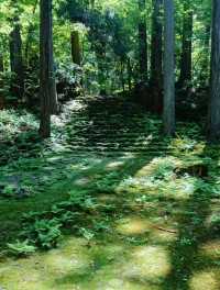 【福井】白山平泉寺／平泉寺白山神社