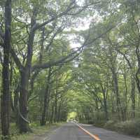 【栃木】那須高原で遊ぶなら南ヶ丘牧場