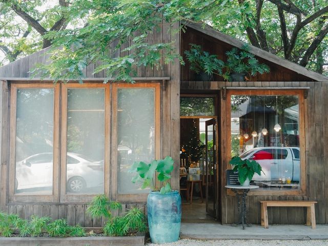 9th September Eat Drink Tree คาเฟ่ใต้ต้นจามจุรียัก