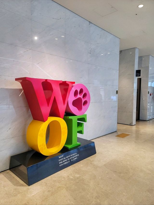 독보적 오션뷰에 반해버린 강릉 세인트존스호텔🏨