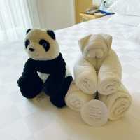 Best Hotel to Stay in Bandung!!