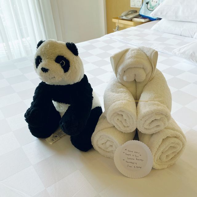 Best Hotel to Stay in Bandung!!