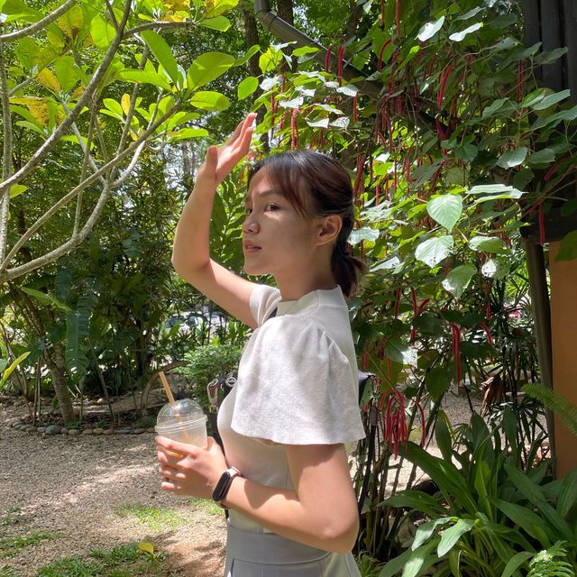 มาตามหาเจ้าชาย ที่ อควาเทล คาเฟ่💖