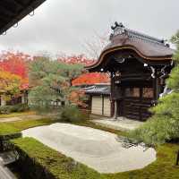 【京都NO.1紅葉🍁スポット、永観堂】