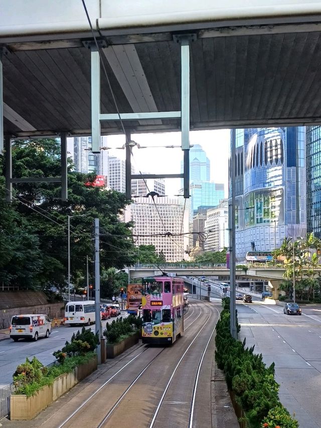 下班後最美夕照！中環~ 灣仔，浪漫電車遊！