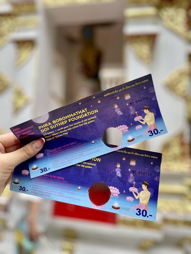 🇹🇭치앙마이 필수명소 황금사원 도이수텝사원⚱️