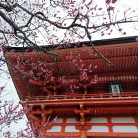 Kyoto's Serene Architectural Beauty & Nature