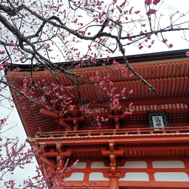 Kyoto's Serene Architectural Beauty & Nature