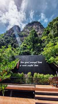 Into the forest จ.กระบี่