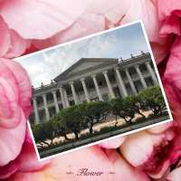 歐式古典建築🏛️打卡德壽宮🤩