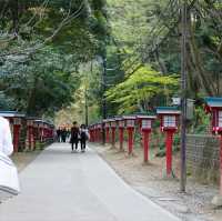 Takao Mountain