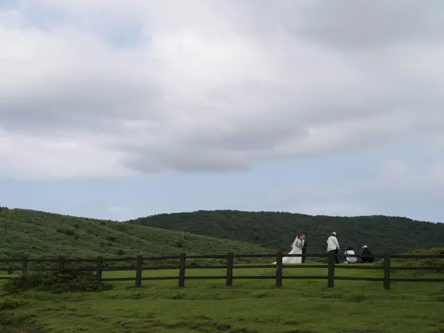 ⛰️台灣陽明山擎天崗～ 免門票看牛牛🐮