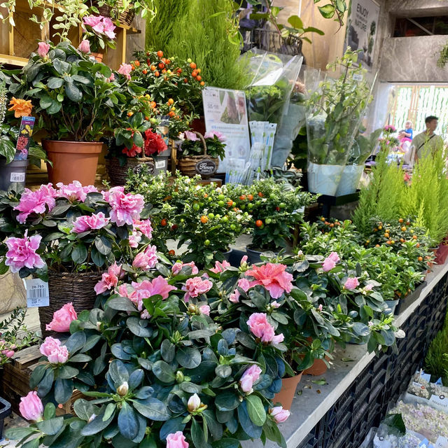 香港人都百「逛」不厭的花墟