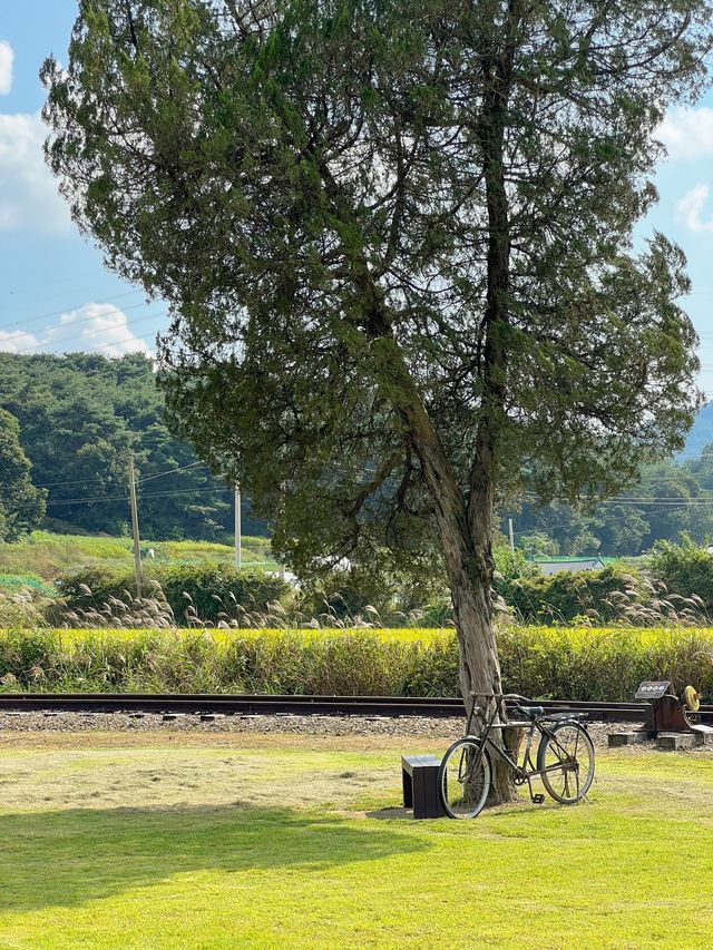 남원 숨은 여행지🌾폐역을 개조한 서도역🚉