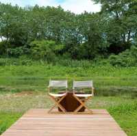 คาเฟ่สายกรีน Favor Field Cafe สวนผึ้ง ราชบุรี