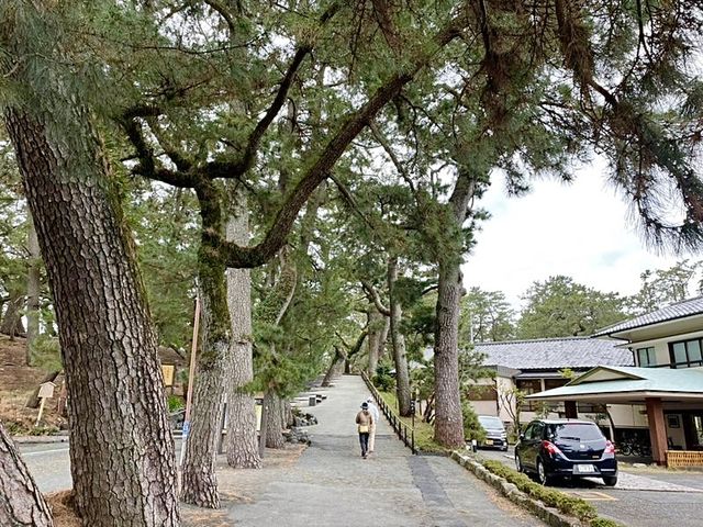 【静岡県/御穂神社】松の参道が印象的な神社