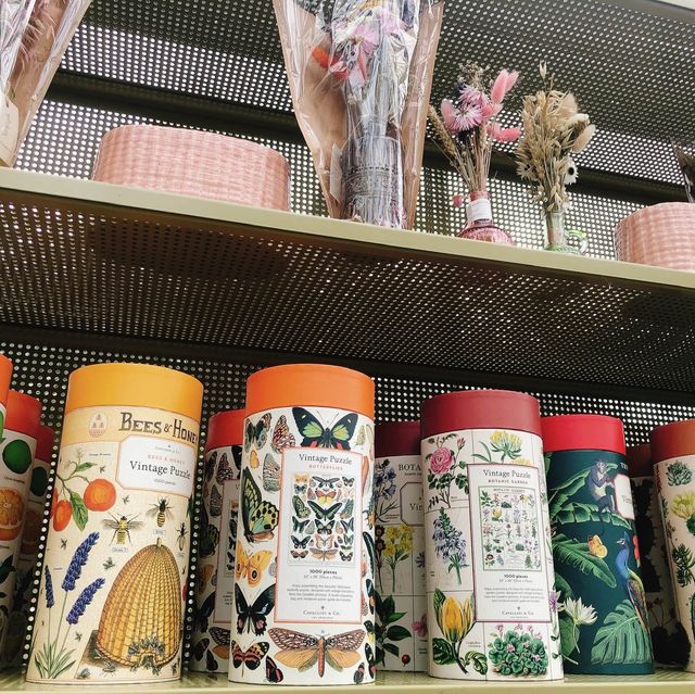 荷蘭萊頓🇳🇱🎍🪴萊頓植物園📚🗂️萊頓大學