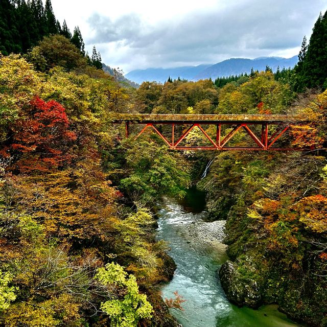 Autumn foliage sightings 