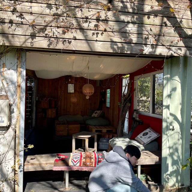 용인 비밀정원 같은 카페 식물원K