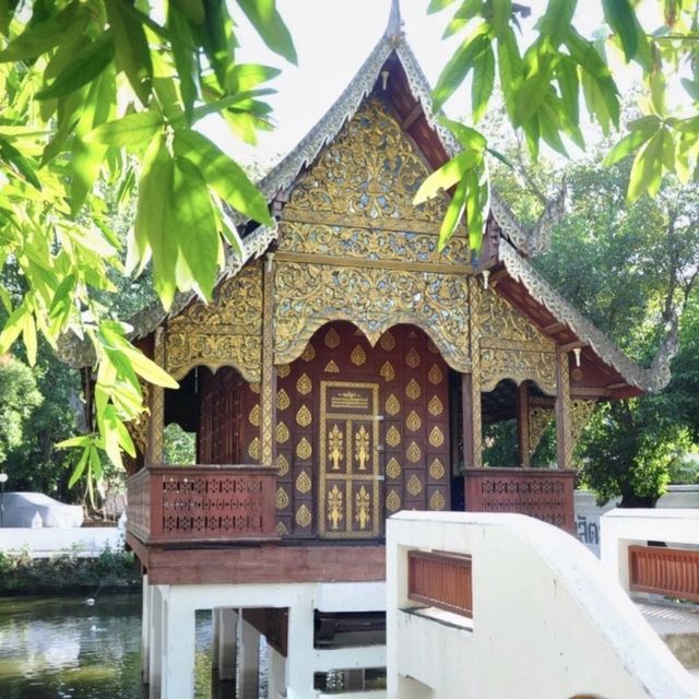 🕌🙏 清曼寺～清邁古城的佛塔奇蹟🕌🙏🏰⛩️🌸