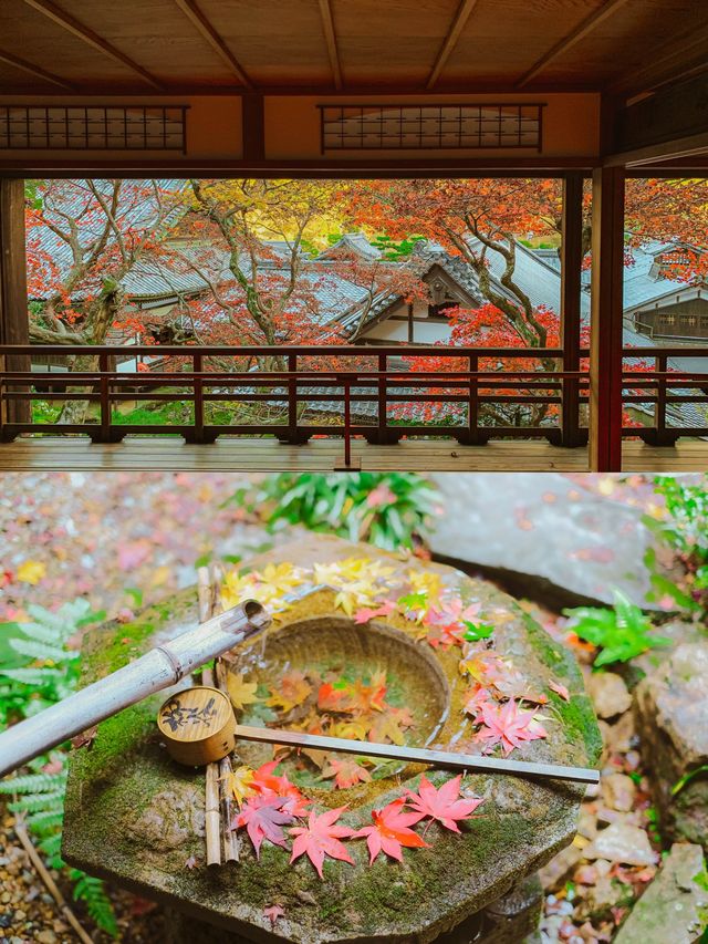 【京都楊谷寺】花手水と紅葉🍁両方楽しめるスポット