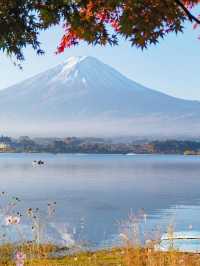 【山梨】紅葉×富士山　一度は見てみたい秋の美しい景色