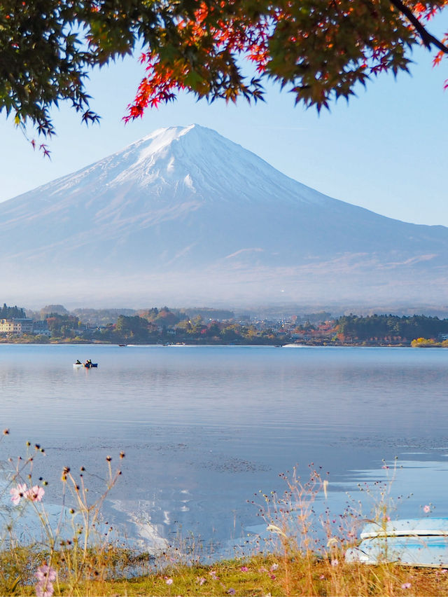 【山梨】紅葉×富士山　一度は見てみたい秋の美しい景色