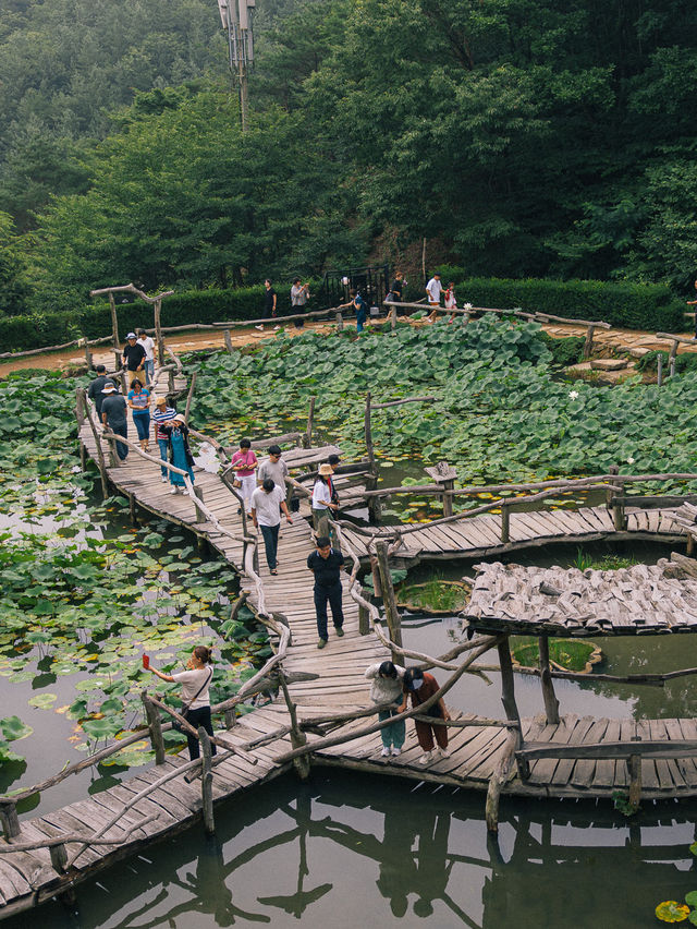 산청 수선사, 비오는 날 다녀오기 좋은 경남 여행지