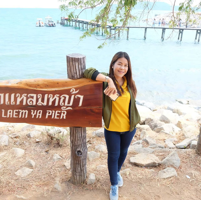 หนาวนี้ไม่เหงามาเที่ยวเขาแหลมหญ้า ระยอง