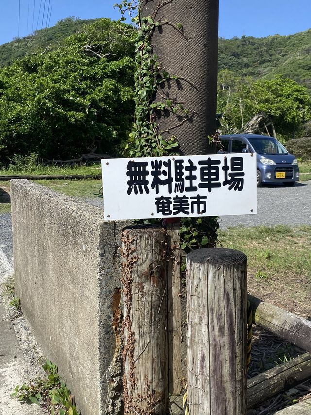 2023年いちばん感動した絶景ビーチ奄美大島の崎原海岸