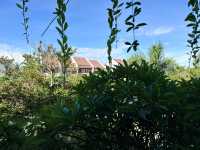 SILK SENSE HOI AN RIVER RESORT 越南會安五星渡假村推薦