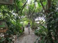 คาเฟ่ธรรมชาติ บางพระเรือ ณ ห้วยท่าไทร