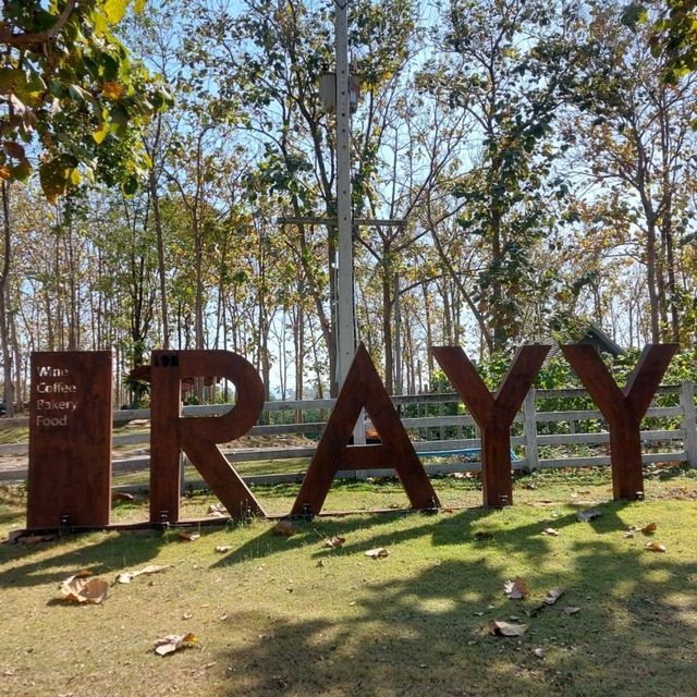 RAYY คาเฟ่กลางสวนป่า มวกเหล็ก สระบุรี