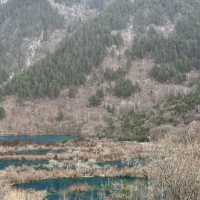 Exploring The Beauty of Jiuzhaigou in Winter