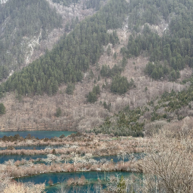Exploring The Beauty of Jiuzhaigou in Winter