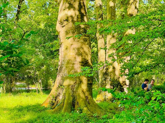 A great spot for enjoying nature.