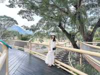 Play La Ploen The Journey เพลาเพลิน เดอะเจอร์นีย์ 