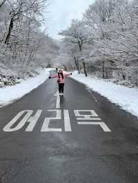 Experience White Winter @Jeju Island
