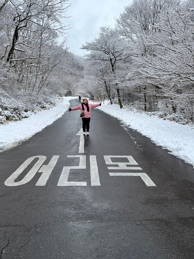Experience White Winter @Jeju Island