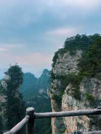 The Avatar Mountains - Zhangjiajie🌲🏔️